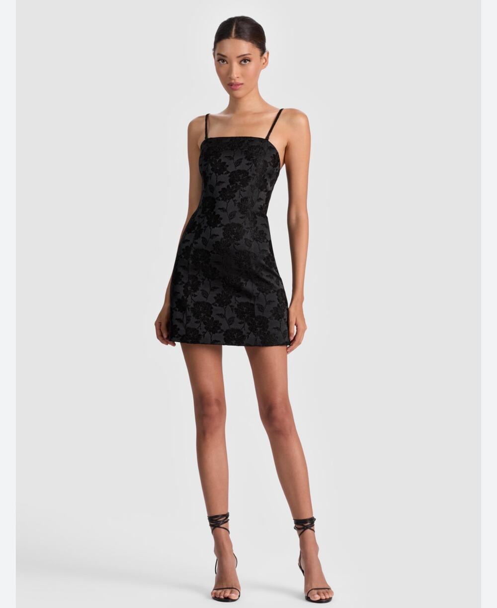 Alice + Olivia Viola Lace Mini Dress Black Floral Size 2 NWT $550 MSRP